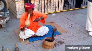 Snake charmer